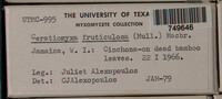 Image Associated With the Occurence